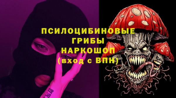 apvp Балахна