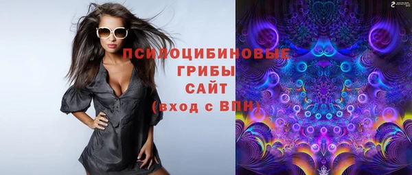 бошки Пересвет