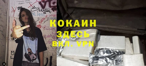 бошки Пересвет