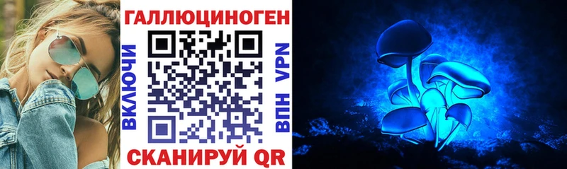 Псилоцибиновые грибы прущие грибы  блэк спрут как войти  Свирск 